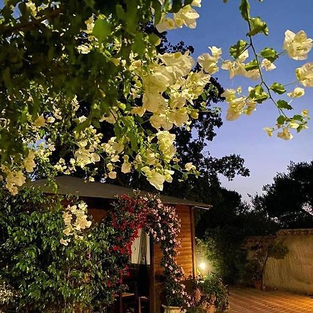 B&B Il Girasole SantʼAnna Arresi Zewnętrze zdjęcie