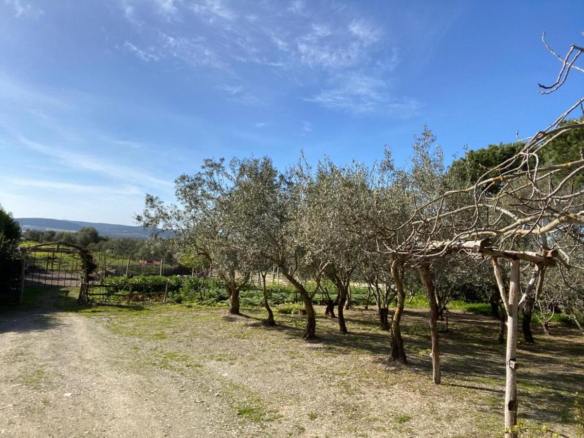 B&B Il Girasole SantʼAnna Arresi Zewnętrze zdjęcie