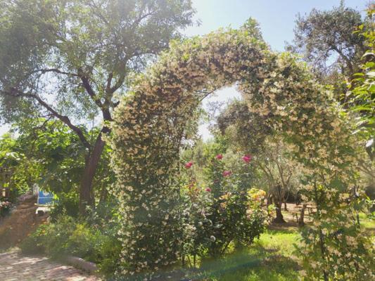 B&B Il Girasole SantʼAnna Arresi Zewnętrze zdjęcie