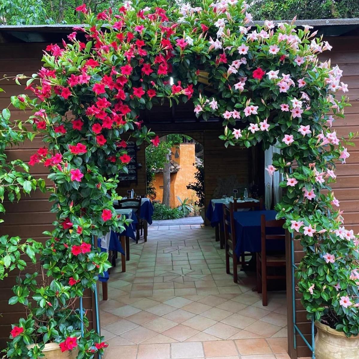 B&B Il Girasole SantʼAnna Arresi Zewnętrze zdjęcie